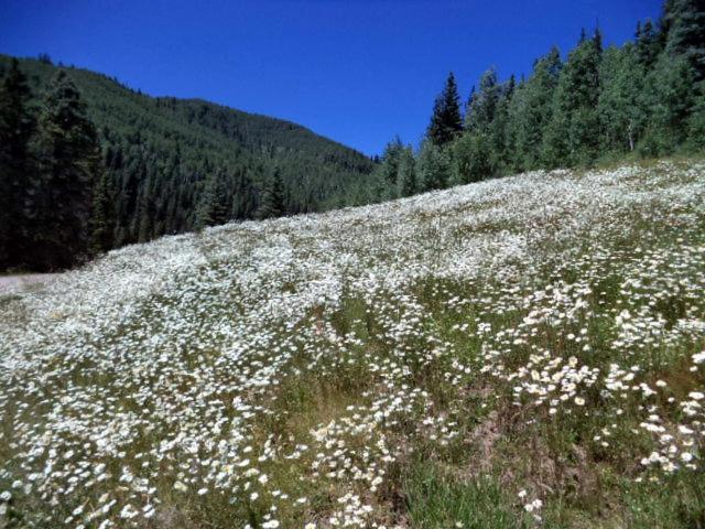 Cascade Village 301, Durango Co Εξωτερικό φωτογραφία