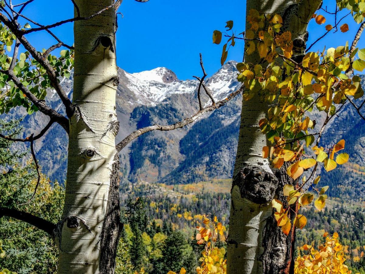 Cascade Village 301, Durango Co Εξωτερικό φωτογραφία